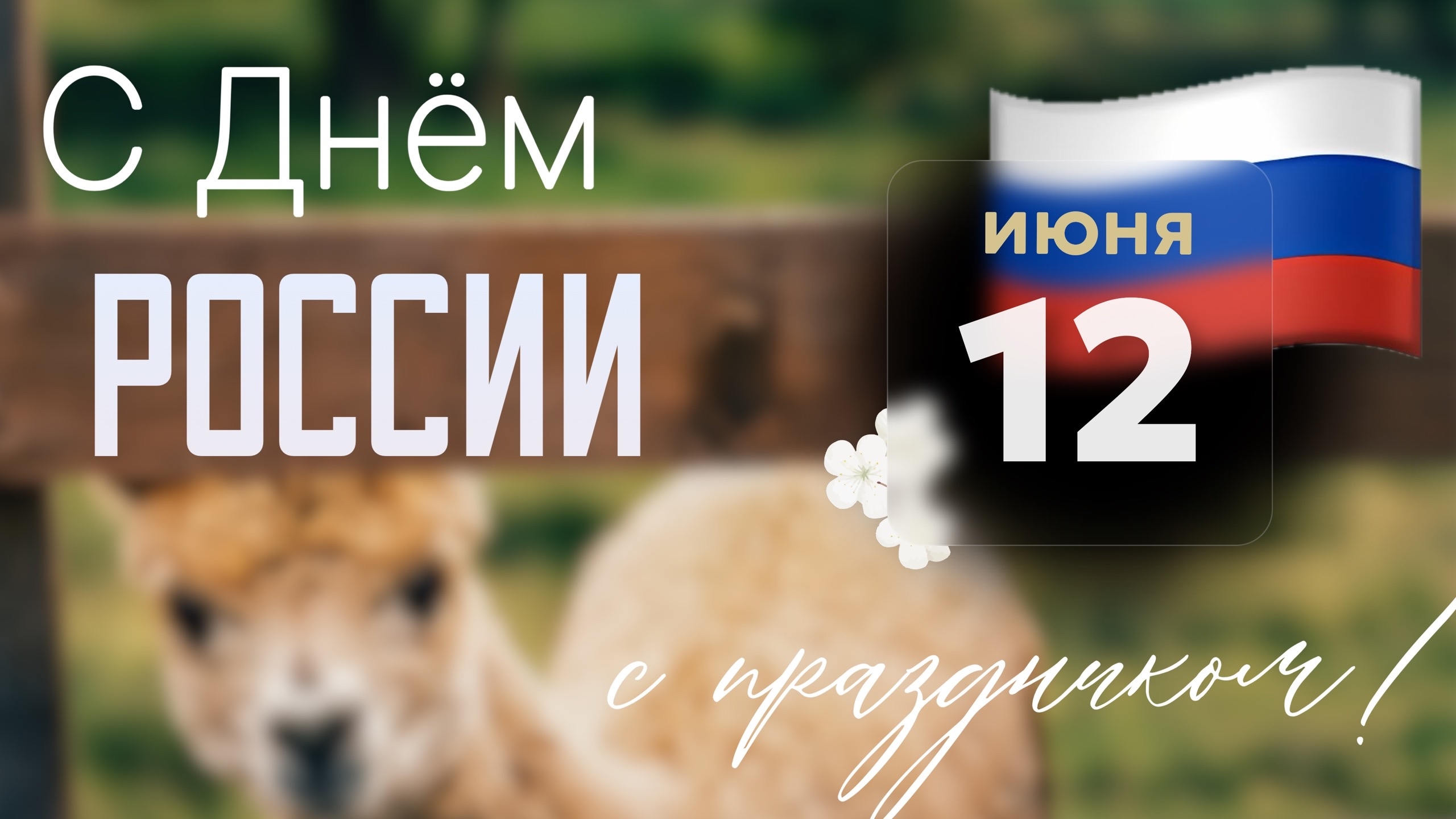 С Днём России!